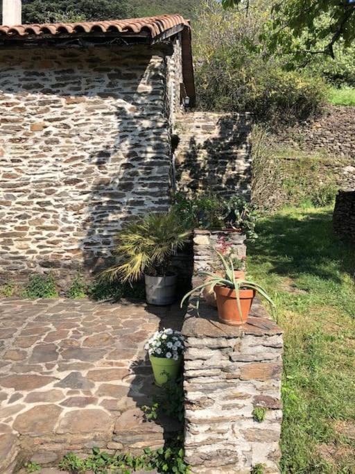 Maison Rurale Au Coeur Des Cevennes Ardechoises Dompnac ภายนอก รูปภาพ
