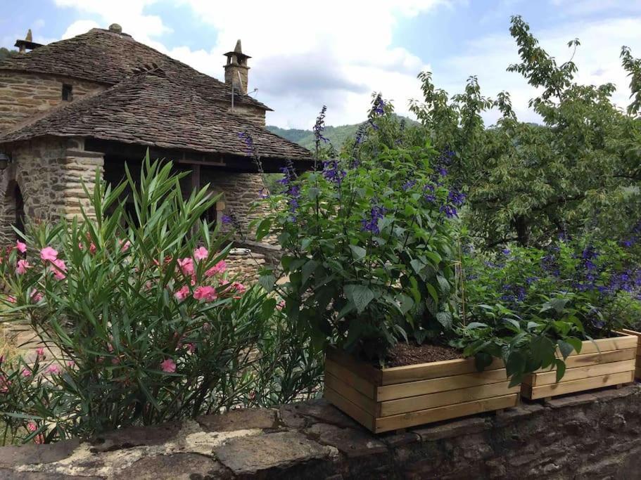 Maison Rurale Au Coeur Des Cevennes Ardechoises Dompnac ภายนอก รูปภาพ
