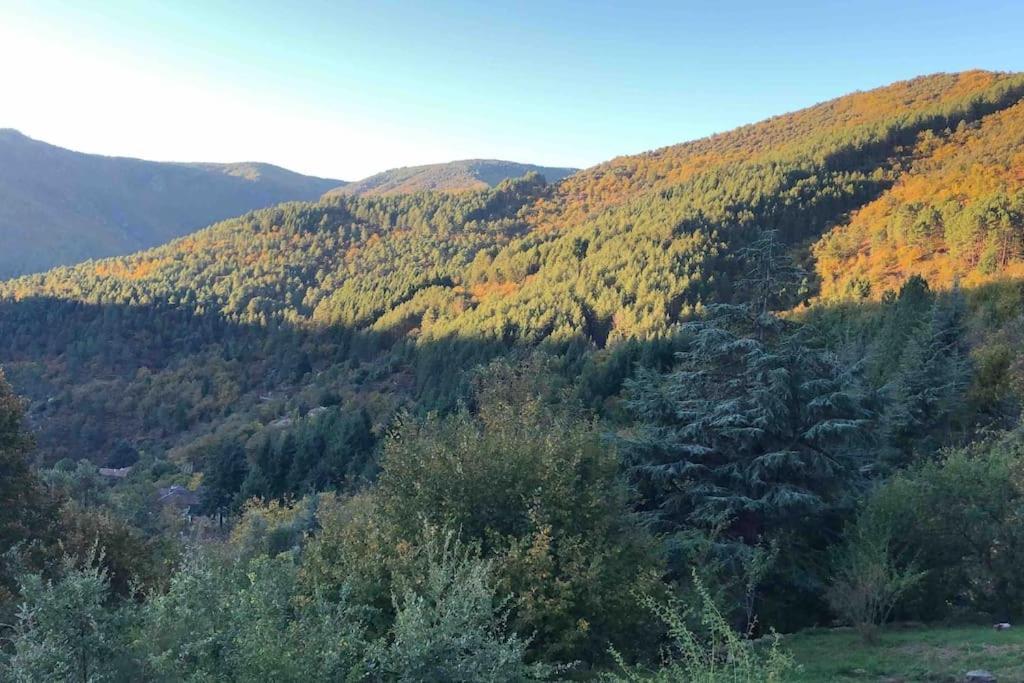 Maison Rurale Au Coeur Des Cevennes Ardechoises Dompnac ภายนอก รูปภาพ